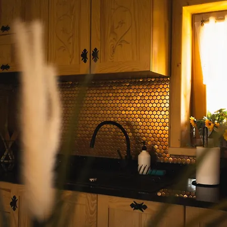 Goralski House ザコパネ