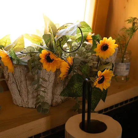 Goralski House * ザコパネ