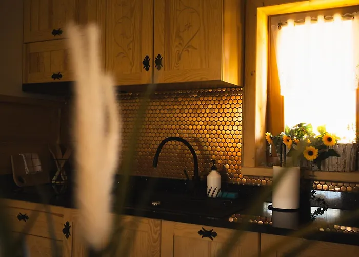 Goralski House ザコパネ